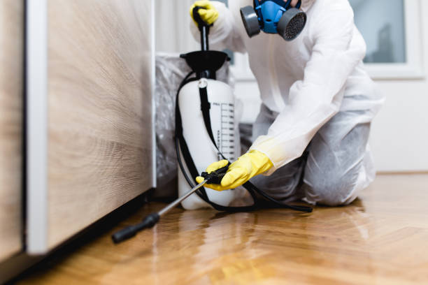 Best Ant Control Services  in Versailles, KY