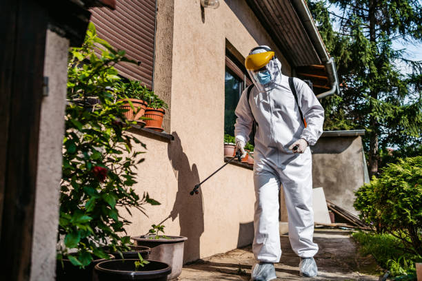 Best Bed Bug Extermination  in Versailles, KY