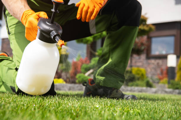 Best Residential Pest Control  in Versailles, KY