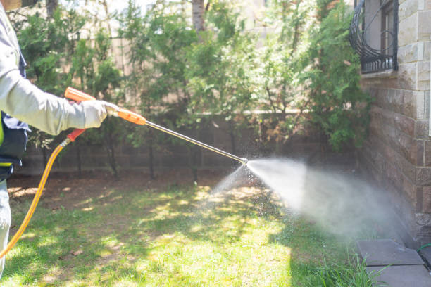 Best Termite Control Services  in Versailles, KY