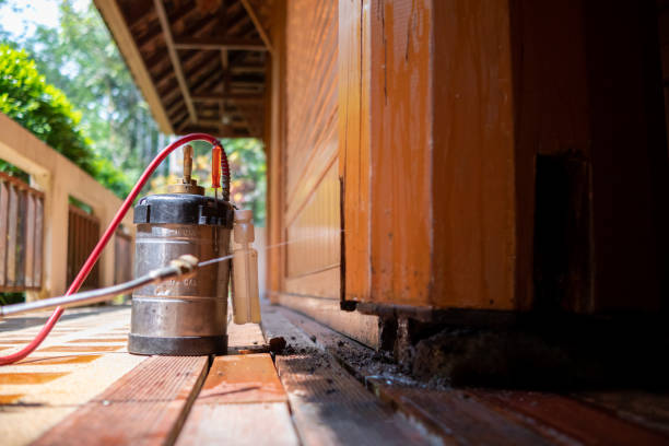 Best Pest Prevention Services  in Versailles, KY