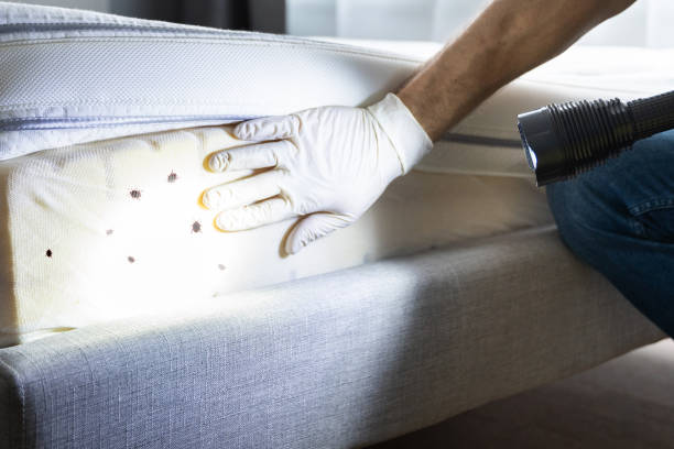 Best Pest Control Cost  in Versailles, KY