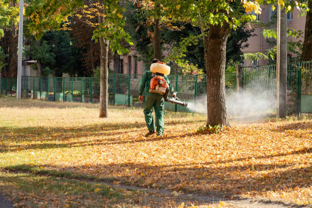 Best Flea Control Services  in Versailles, KY
