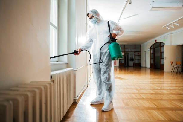 Best Bed Bug Extermination  in Versailles, KY