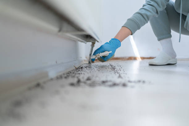 Best Commercial Pest Control Services  in Versailles, KY